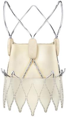 TAVI for Pure Non-calcified Aortic Regurgitation Using a Self-Expandable Transcatheter Heart Valve